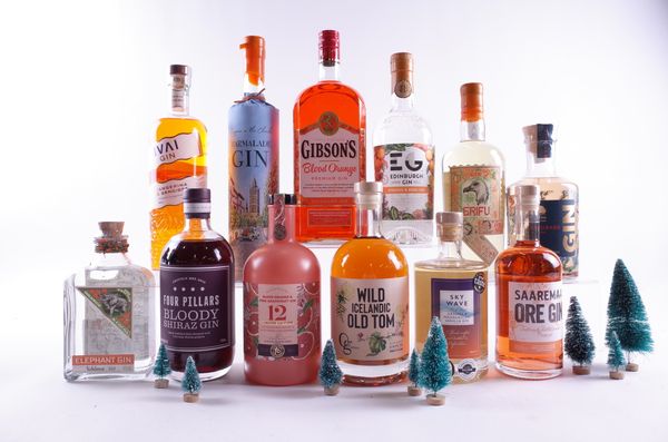 12 BOTTLES FLAVOURED GIN