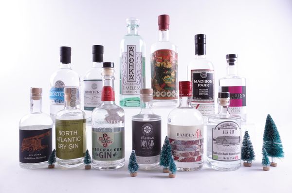 12 BOTTLES GIN