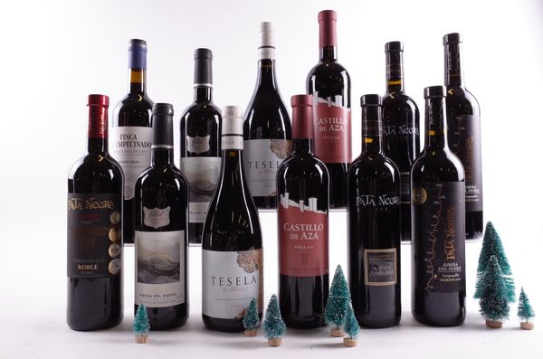 12 BOTTLES SPANISH RED WINE