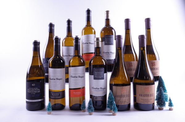 12 BOTTLES SPANISH WHITE WINE