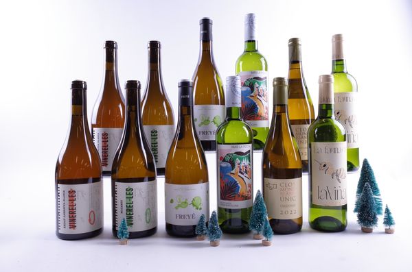 12 BOTTLES SPANISH WHITE WINE