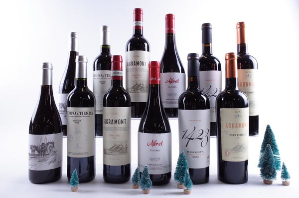 12 BOTTLES SPANISH RED WINE