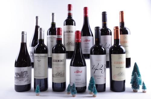 12 BOTTLES SPANISH RED WINE