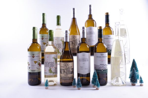 12 BOTTLES SPANISH WHITE WINE