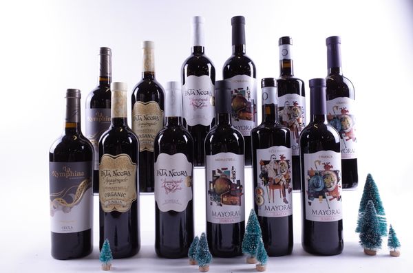 12 BOTTLES SPANISH RED WINE