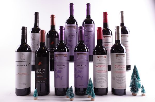 12 BOTTLES SPANISH RED WINE