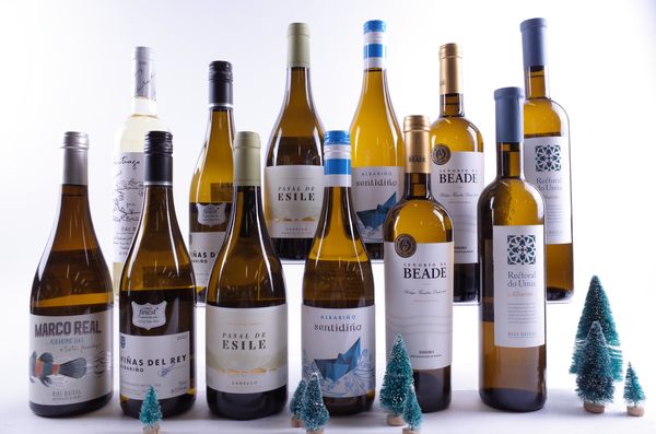 12 BOTTLES SPANISH WHITE WINE