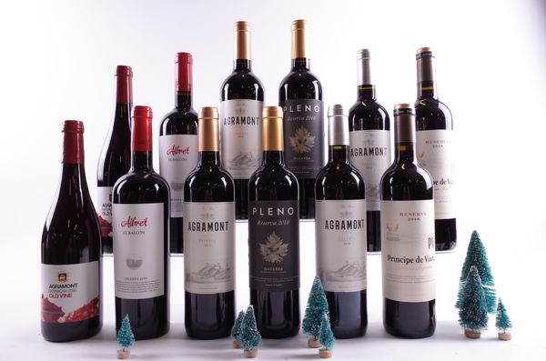 12 BOTTLES SPANISH RED WINE