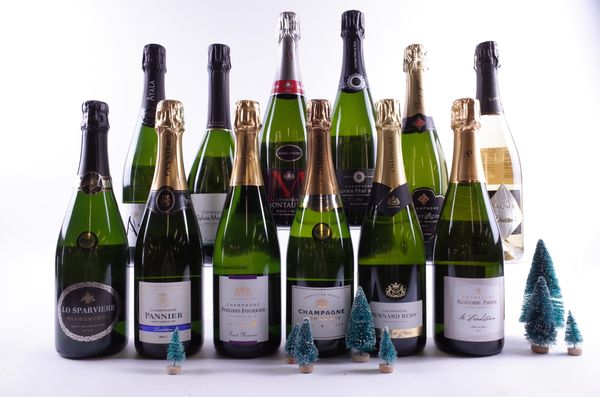 11 BOTTLES CHAMPAGNE AND 1 SPARKLING WINE