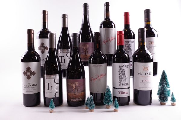 12 BOTTLES SPANISH RED WINE