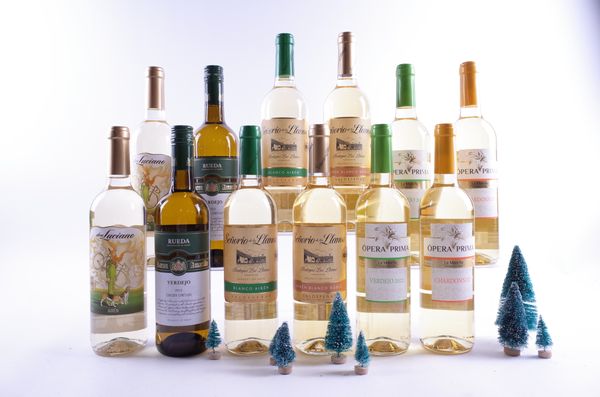 12 BOTTLES SPANISH WHITE WINE