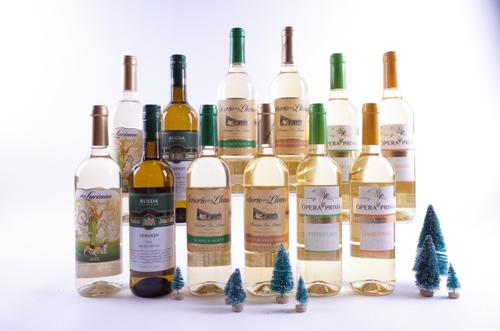 12 BOTTLES SPANISH WHITE WINE