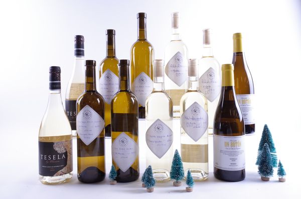 12 BOTTLES SPANISH WHITE WINE