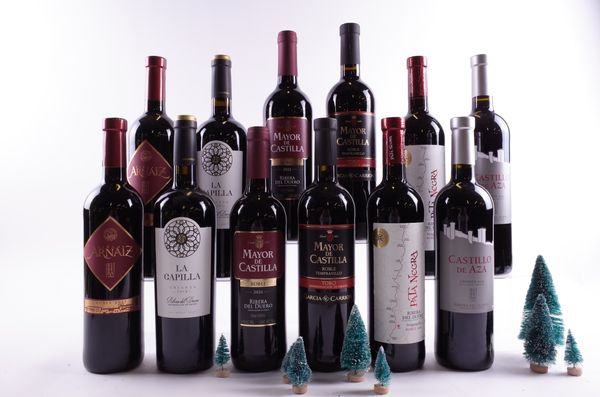 12 BOTTLES SPANISH RED WINE