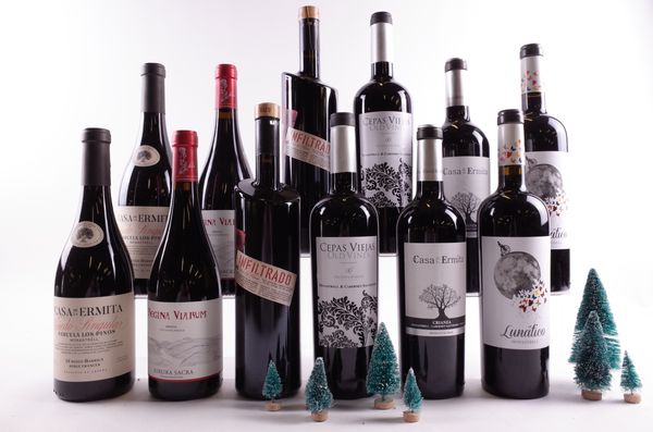 12 BOTTLES SPANISH RED WINE