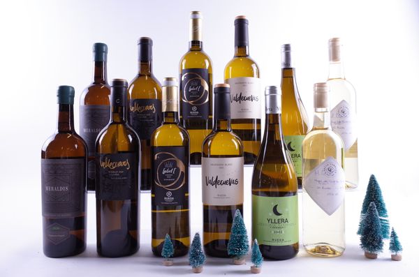 12 BOTTLES SPANISH WHITE WINE