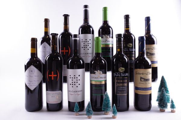 12 BOTTLES SPANISH RED WINE