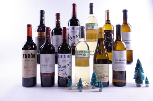 12 BOTTLES PORTUGUESE AND SPANISH RED AND WHITE WINE