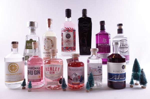 11 BOTTLES FLAVOURED GIN AND 1 TEQUILA