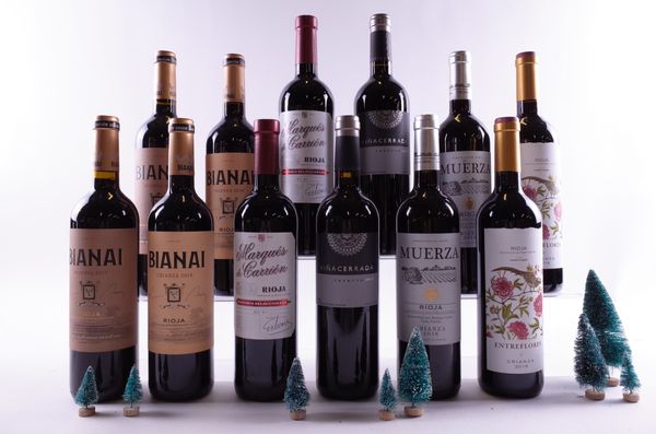 12 BOTTLES RIOJA