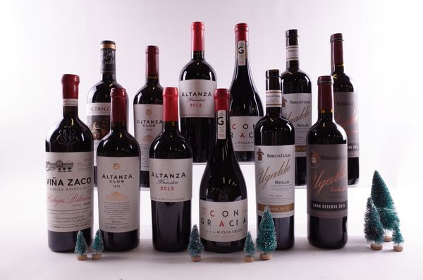 12 BOTTLES RIOJA