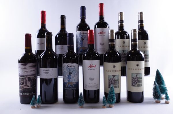 12 BOTTLES SPANISH RED WINE