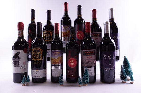 12 BOTTLES CHINESE RED WINE