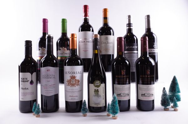 12 BOTTLES SPANISH RED WINE