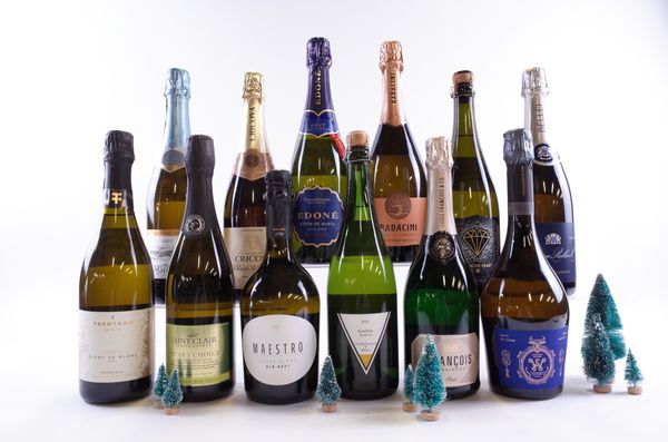 12 BOTTLES SPARKLING WINE