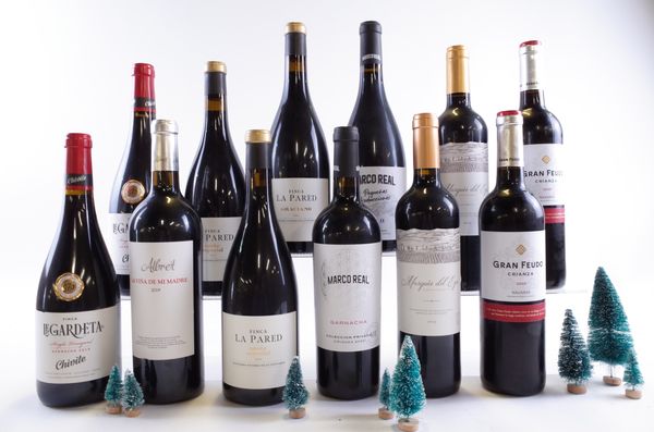 12 BOTTLES SPANISH RED WINE