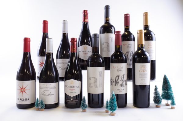 12 BOTTLES SPANISH RED WINE