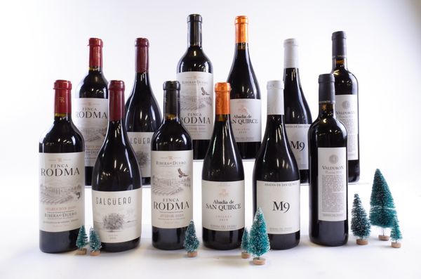 12 BOTTLES SPANISH RED WINE