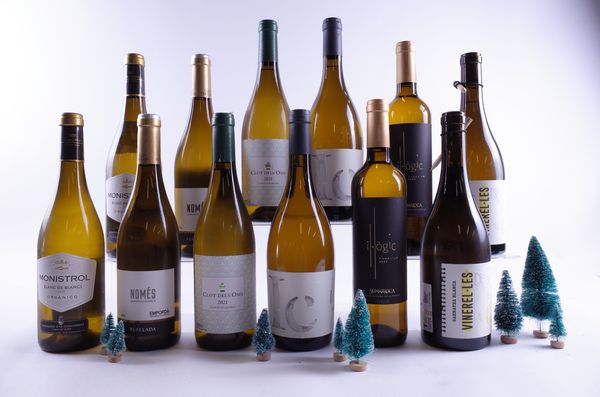 12 BOTTLES SPANISH WHITE WINE