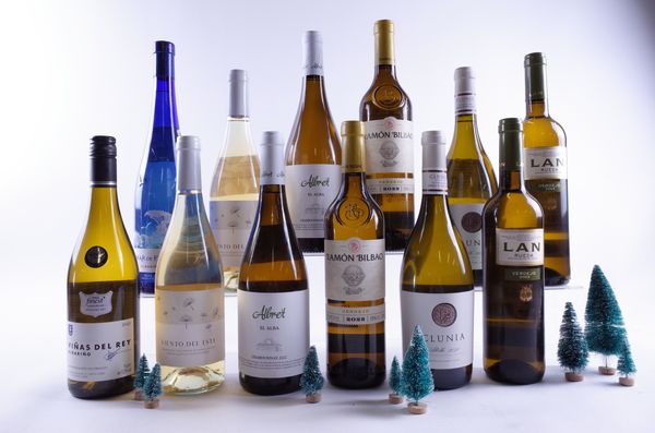 12 BOTTLES SPANISH WHITE WINE