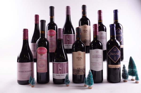 12 BOTTLES SPANISH RED WINE