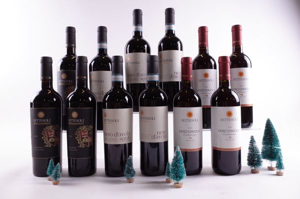 12 BOTTLES SPANISH RED WINE