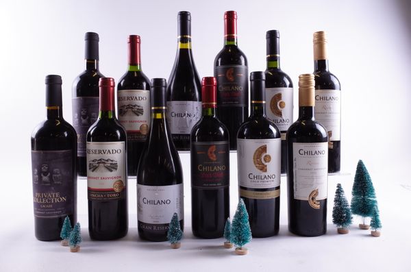 12 BOTTLES CHILEAN RED WINE