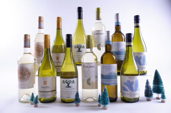 12 BOTTLES CHILEAN WHITE WINE