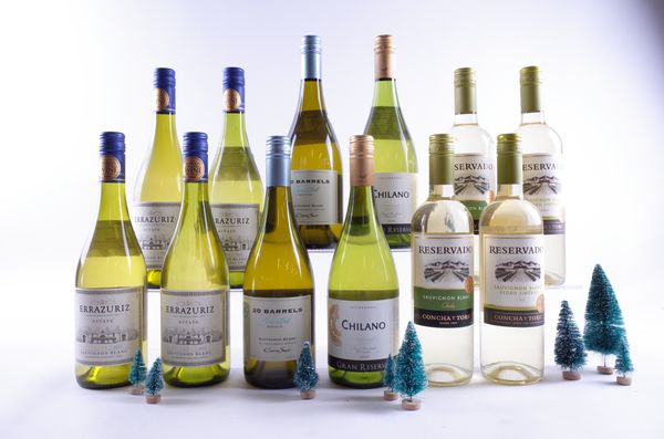 12 BOTTLES CHILEAN WHITE WINE