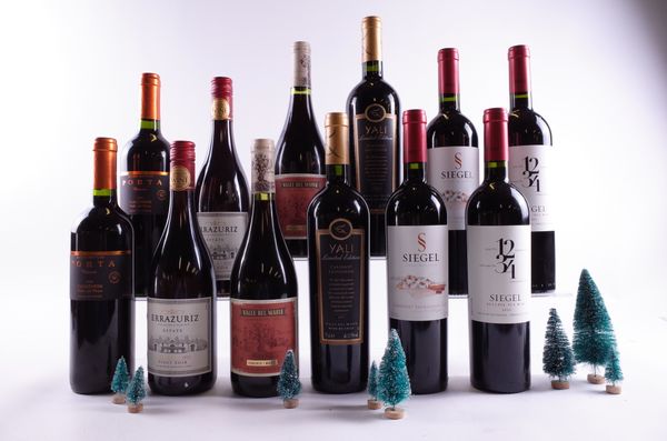 12 BOTTLES CHILEAN RED WINE