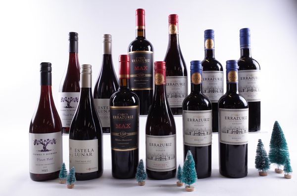 12 BOTTLES CHILEAN RED WINE