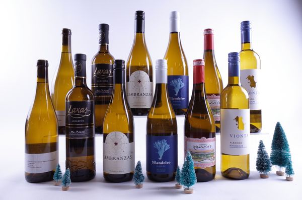 12 BOTTLES SPANISH WHITE WINE