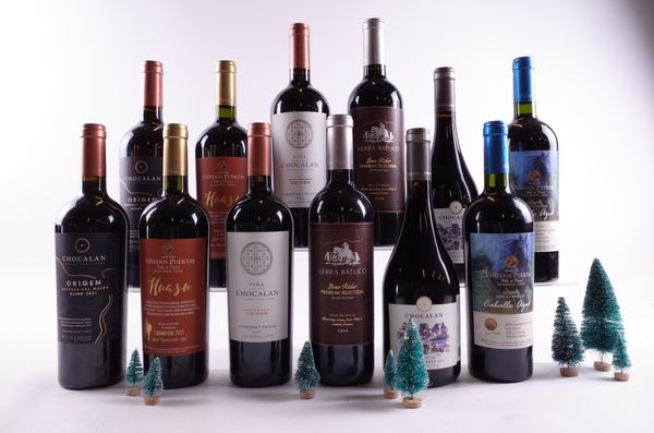 12 BOTTLES CHILEAN RED WINE