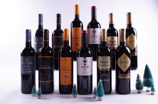 12 BOTTLES SPANISH RED WINE