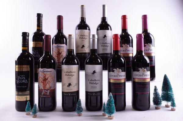 12 BOTTLES SPANISH RED WINE