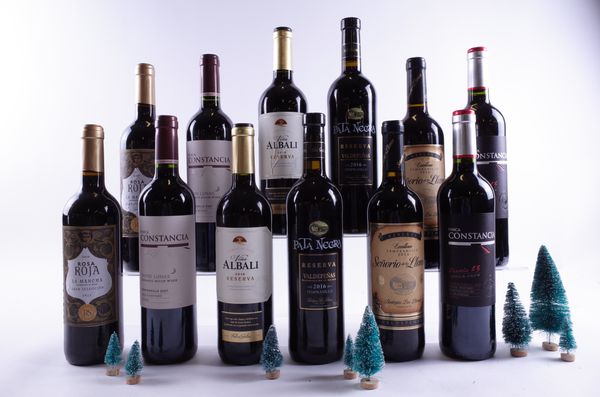 12 BOTTLES SPANISH RED WINE