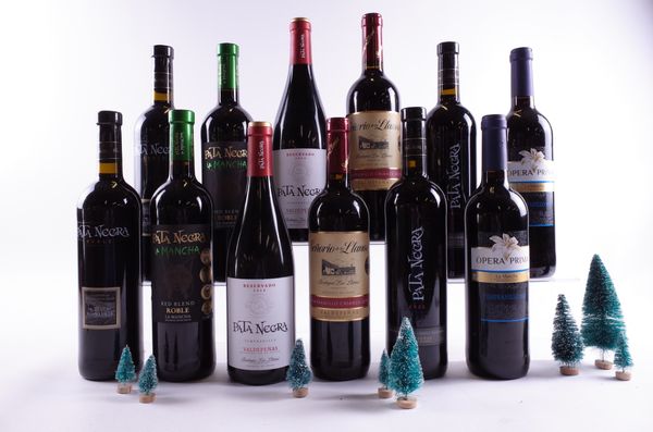 12 BOTTLES SPANISH RED WINE