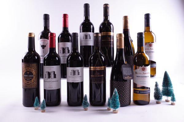 12 BOTTLES SPANISH RED WINE