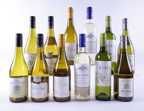 12 BOTTLES CHILEAN WHITE WINE