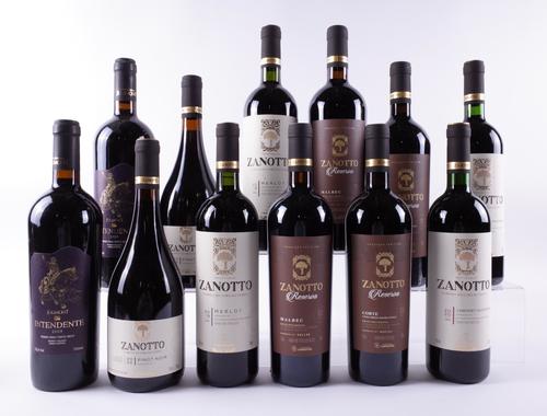 12 BOTTLES BRAZILIAN RED WINE